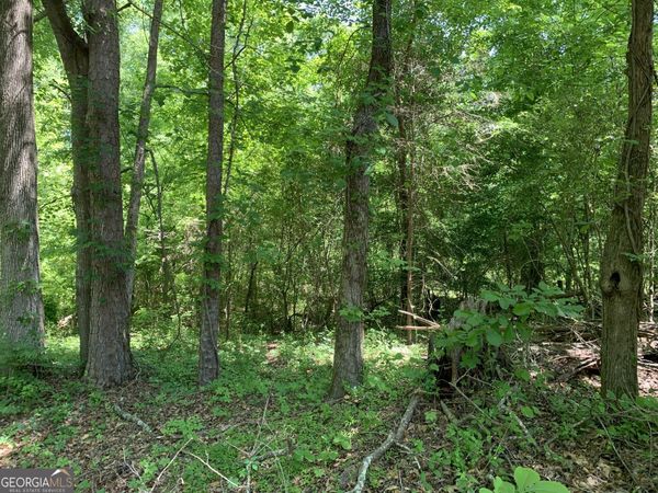 1030 Chambers Court, Watkinsville, GA 30677