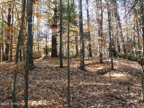 487 Antone Mountain Road, Hadley, NY 12835