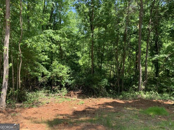 1200 Paxton Court, Watkinsville, GA 30677