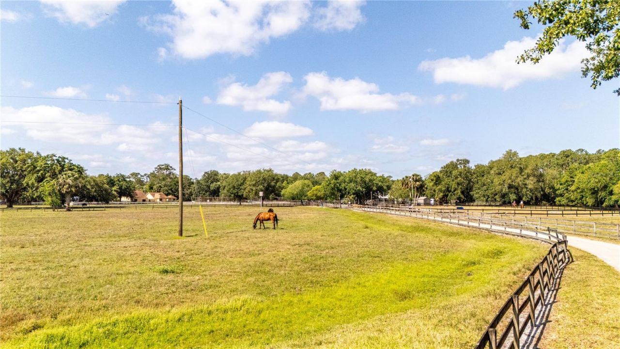 1390 Sioux Trail, Enterprise, FL 32725 Photo