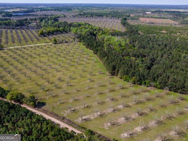 0 Kermit Road, Cobbtown, GA 30420