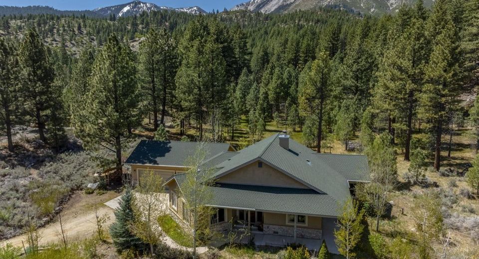 105 Old Mill Place, Washoe Valley, NV 89704 Photo