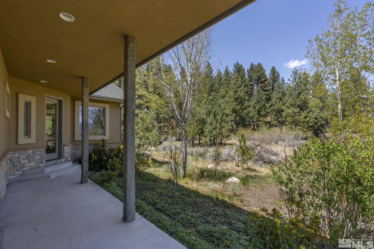 105 Old Mill Place, Washoe Valley, NV 89704 Photo