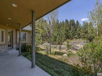 105 Old Mill Place, Washoe Valley, NV 89704 Photo