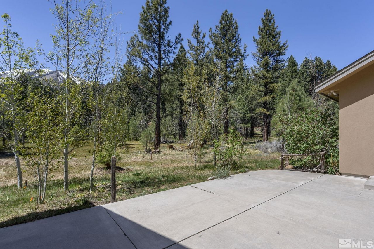 105 Old Mill Place, Washoe Valley, NV 89704 Photo