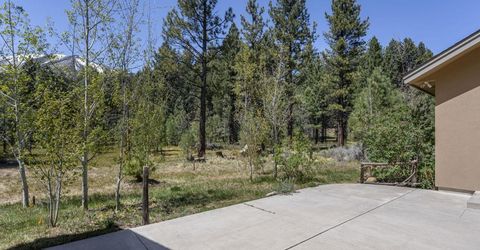 105 Old Mill Place, Washoe Valley, NV 89704 Photo