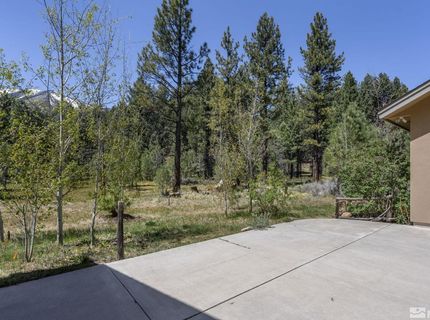 105 Old Mill Place, Washoe Valley, NV 89704 Photo