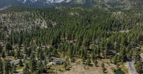 105 Old Mill Place, Washoe Valley, NV 89704 Photo