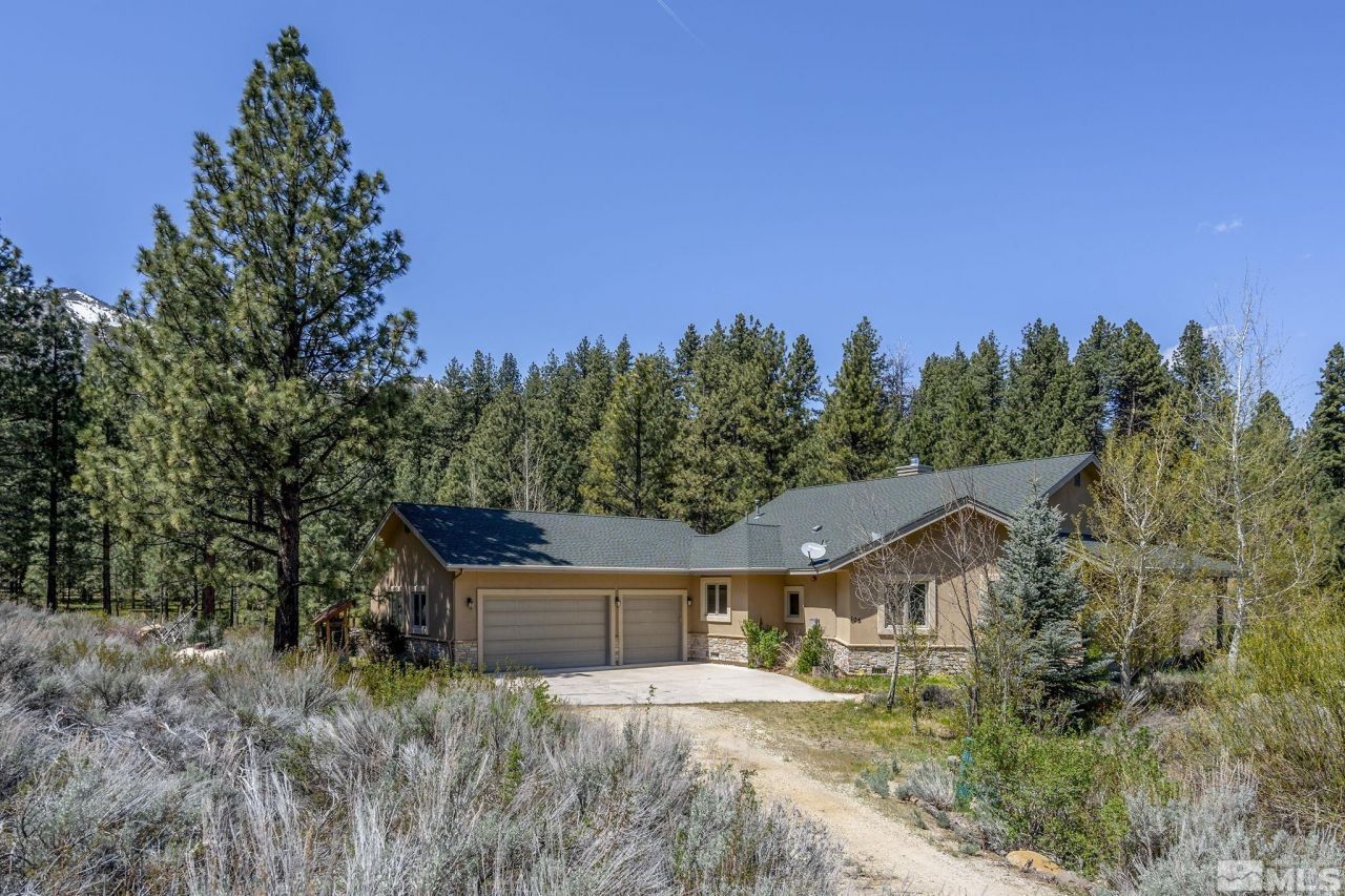 105 Old Mill Place, Washoe Valley, NV 89704 Photo