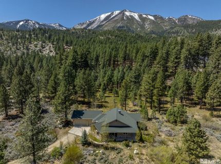 105 Old Mill Place, Washoe Valley, NV 89704 Photo
