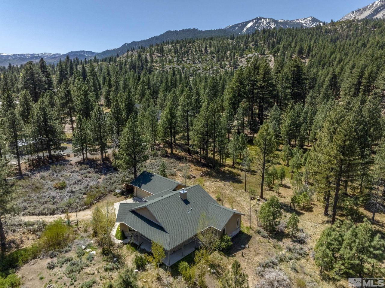 105 Old Mill Place, Washoe Valley, NV 89704 Photo