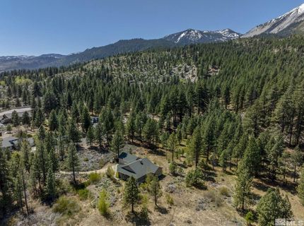 105 Old Mill Place, Washoe Valley, NV 89704 Photo