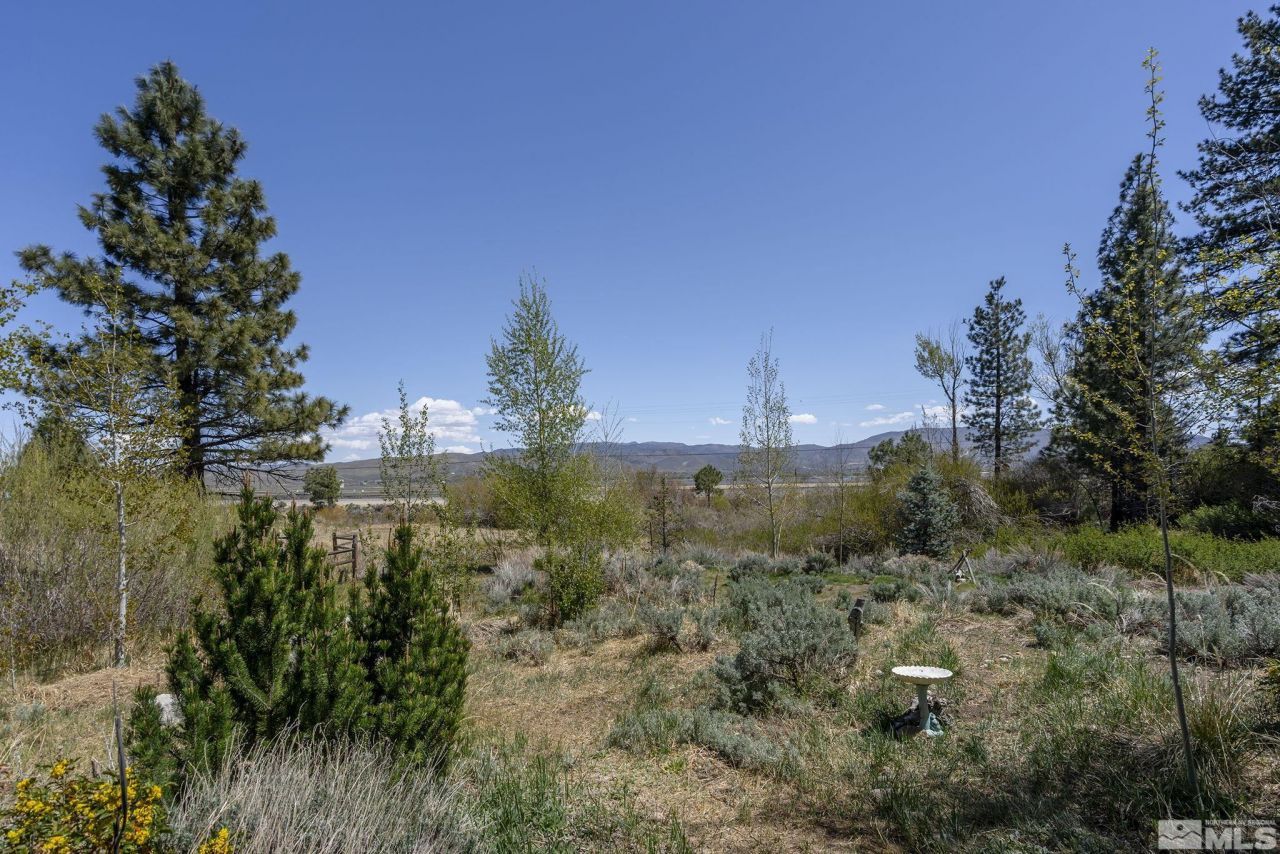 105 Old Mill Place, Washoe Valley, NV 89704 Photo