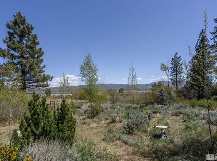 105 Old Mill Place, Washoe Valley, NV 89704 Photo