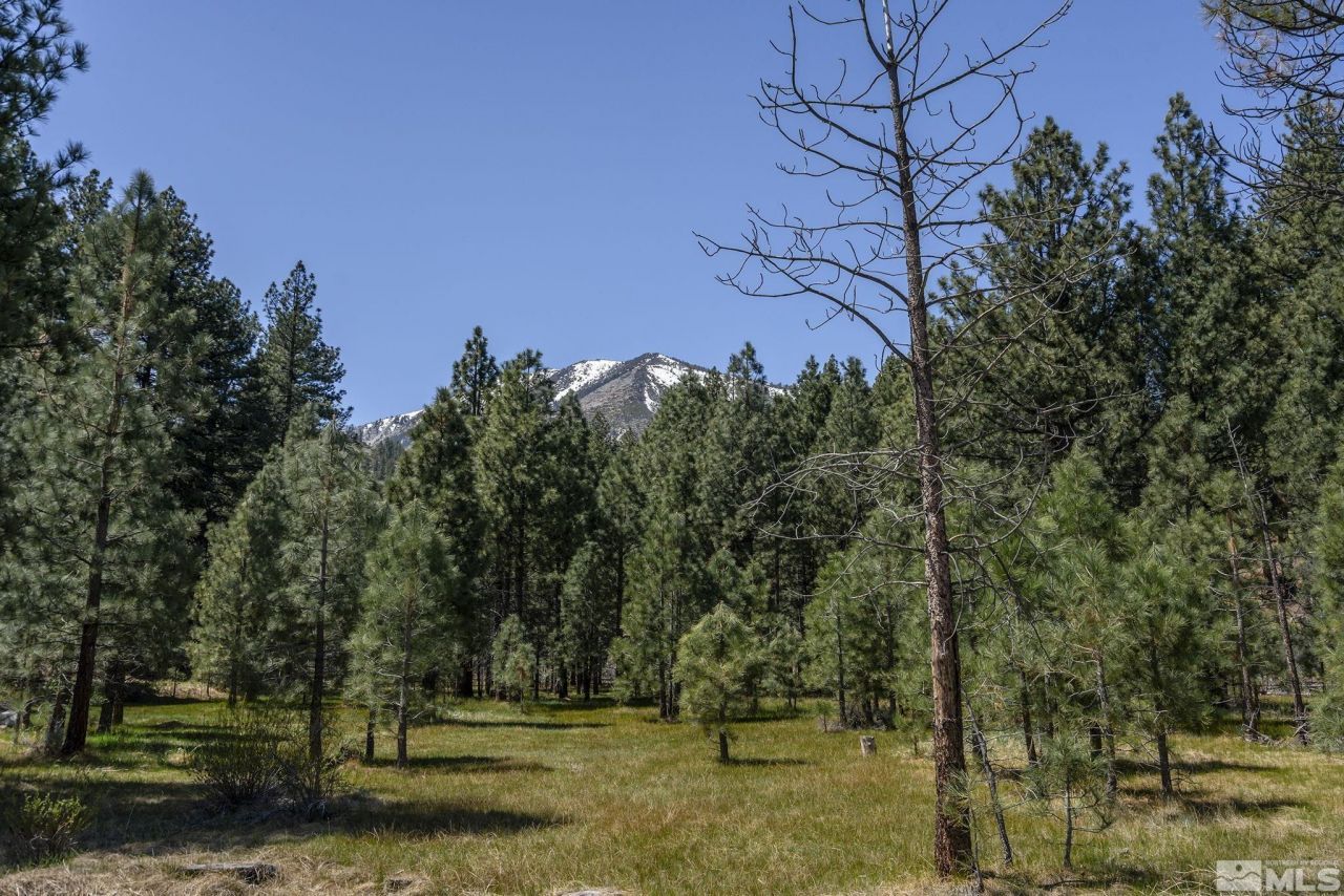 105 Old Mill Place, Washoe Valley, NV 89704 Photo