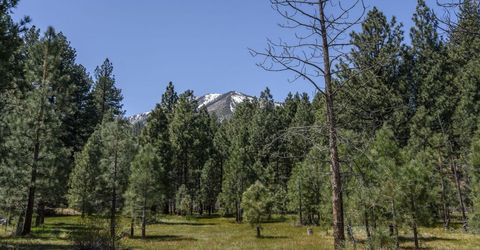 105 Old Mill Place, Washoe Valley, NV 89704 Photo