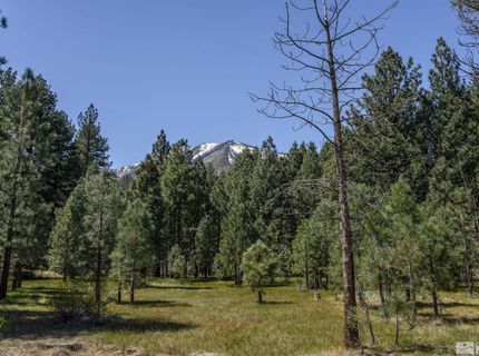 105 Old Mill Place, Washoe Valley, NV 89704 Photo