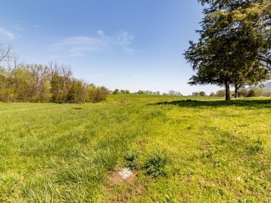 Property Image 60
