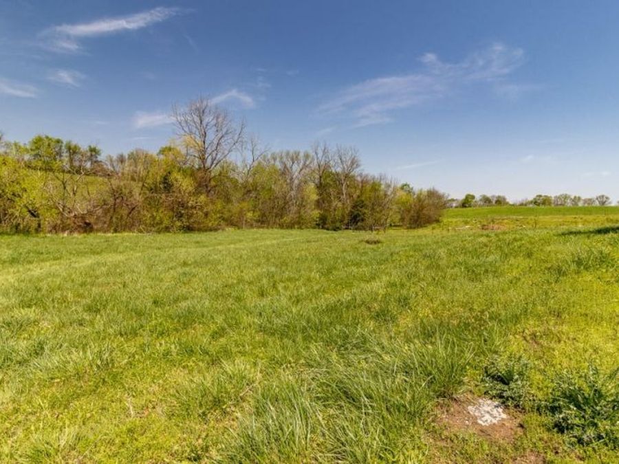 Property Image 61