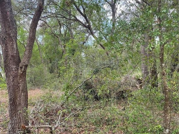 JUNIPER STREET, LADY LAKE, FL 32159