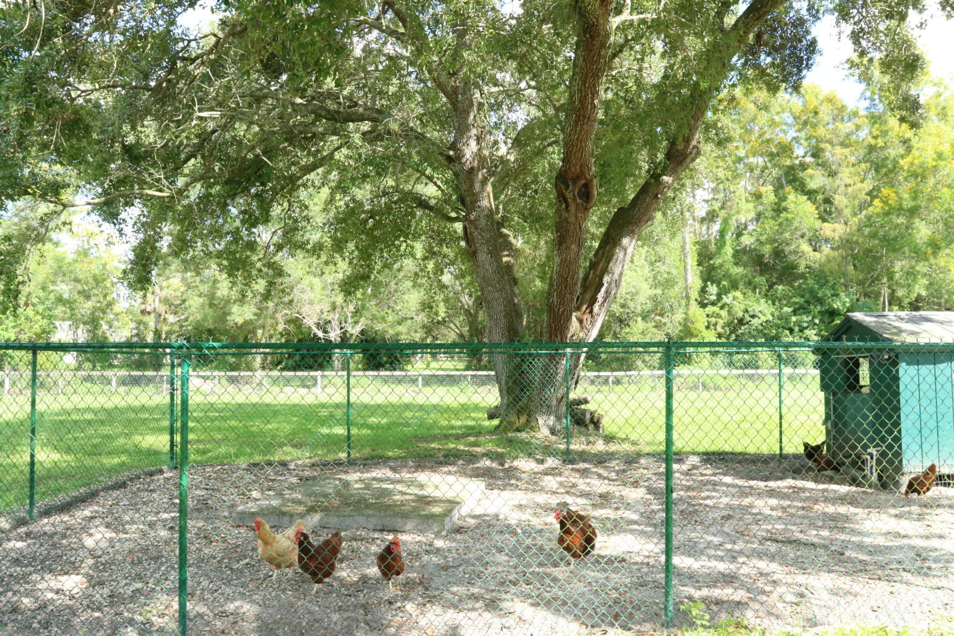 10754 Tamis Trail, Lake Worth, FL 33449 Photo