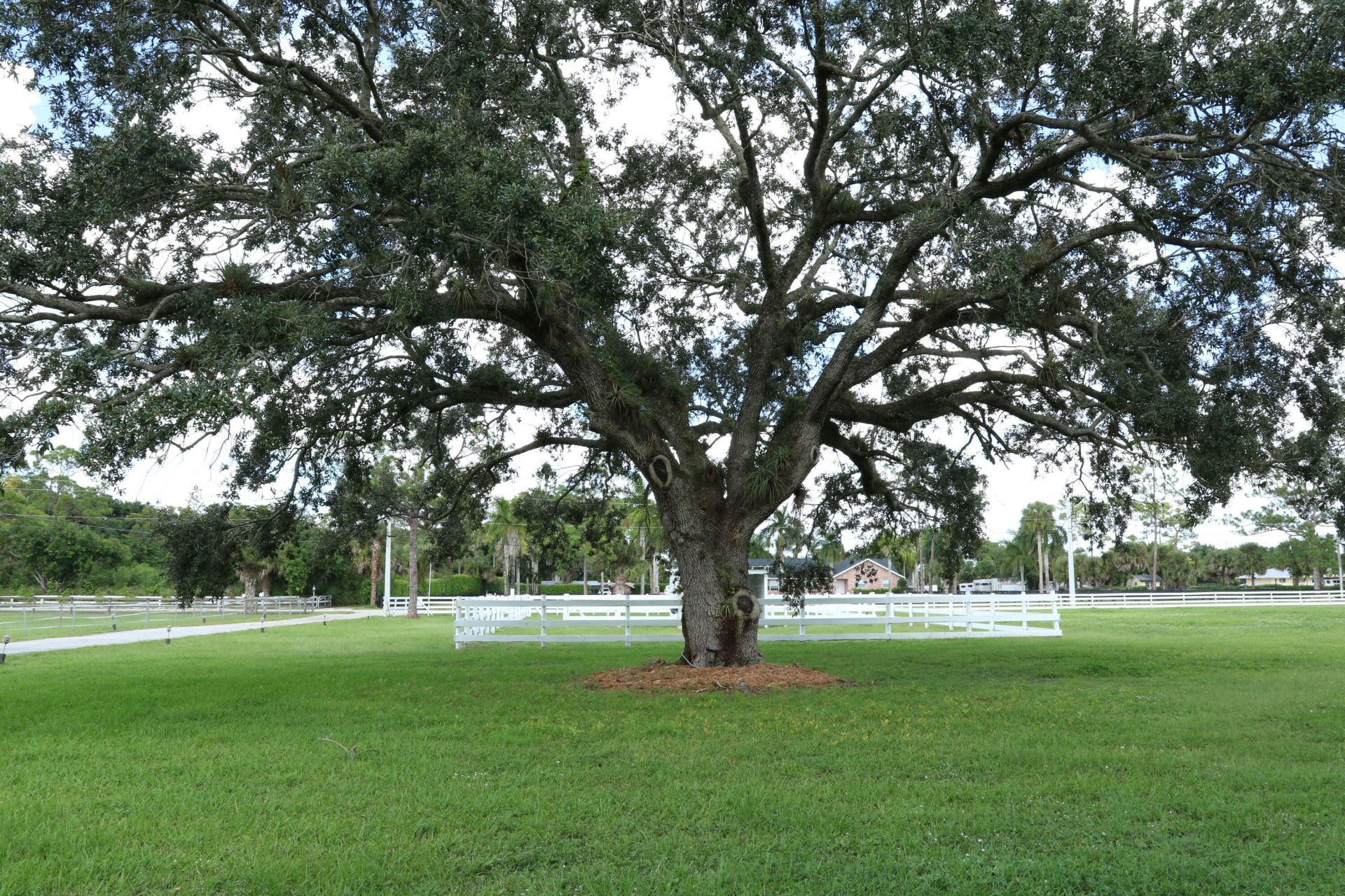 10754 Tamis Trail, Lake Worth, FL 33449 Photo