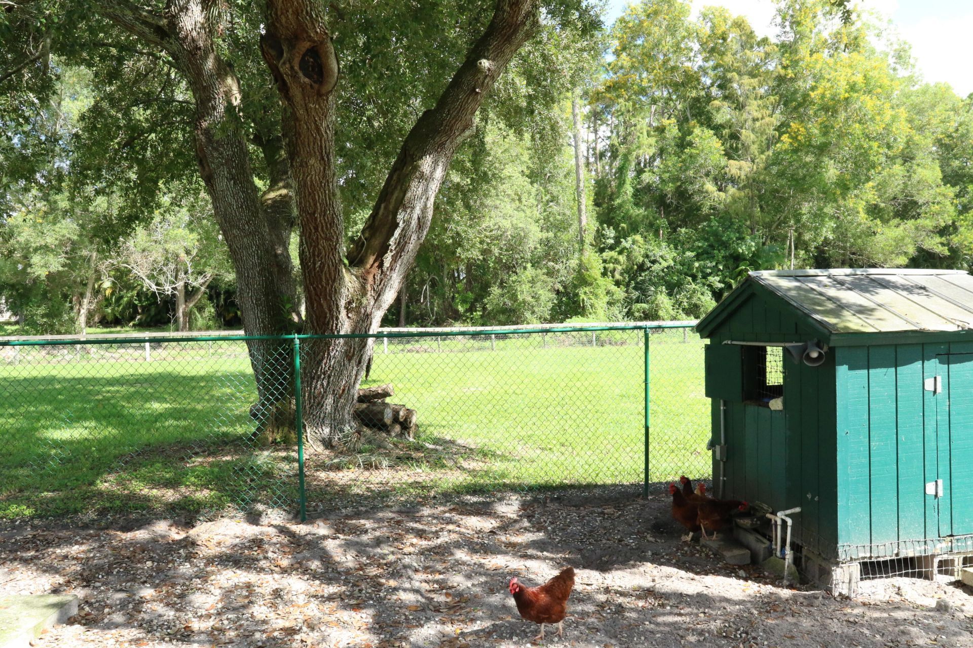 10754 Tamis Trail, Lake Worth, FL 33449 Photo