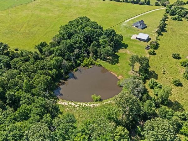 1412 AN County Road 431, Tennessee Colony, TX 75861