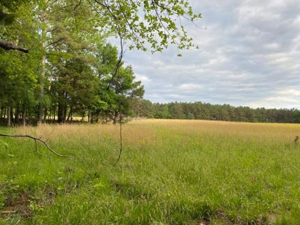 330 LICK CREEK RD, Michie, TN 38357