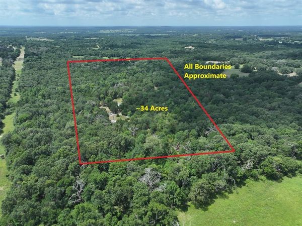 TBD CR 431 Road, Fairfield, TX 75840