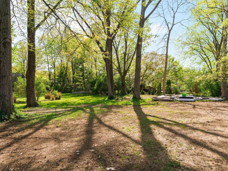 2979 Avalon Road, Columbus, OH 43221 Photo 12
