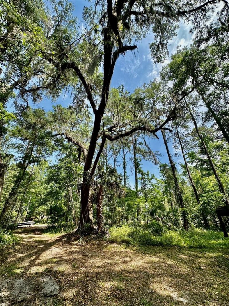 12100 NW Us Highway 441, Alachua, FL 32615 Photo