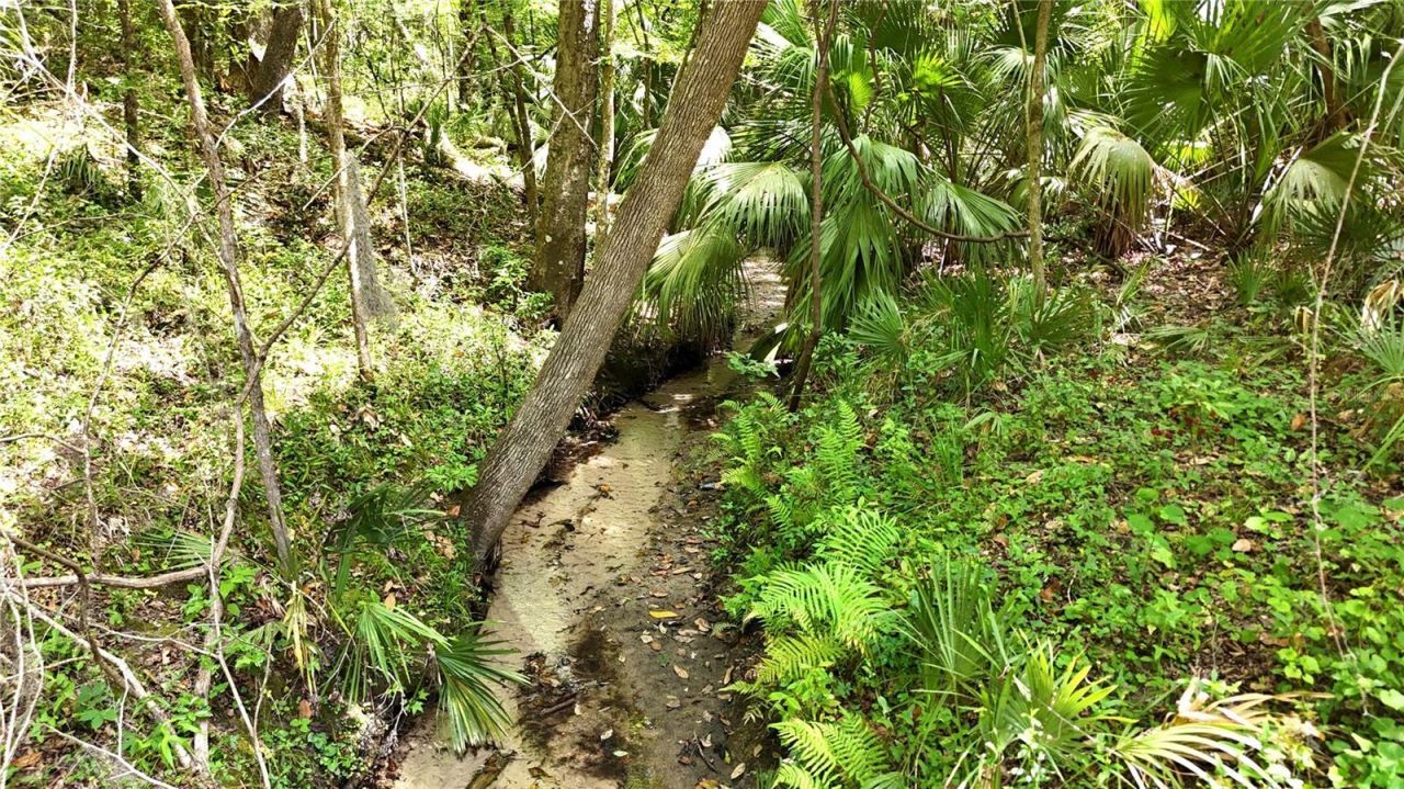 12100 NW Us Highway 441, Alachua, FL 32615 Photo