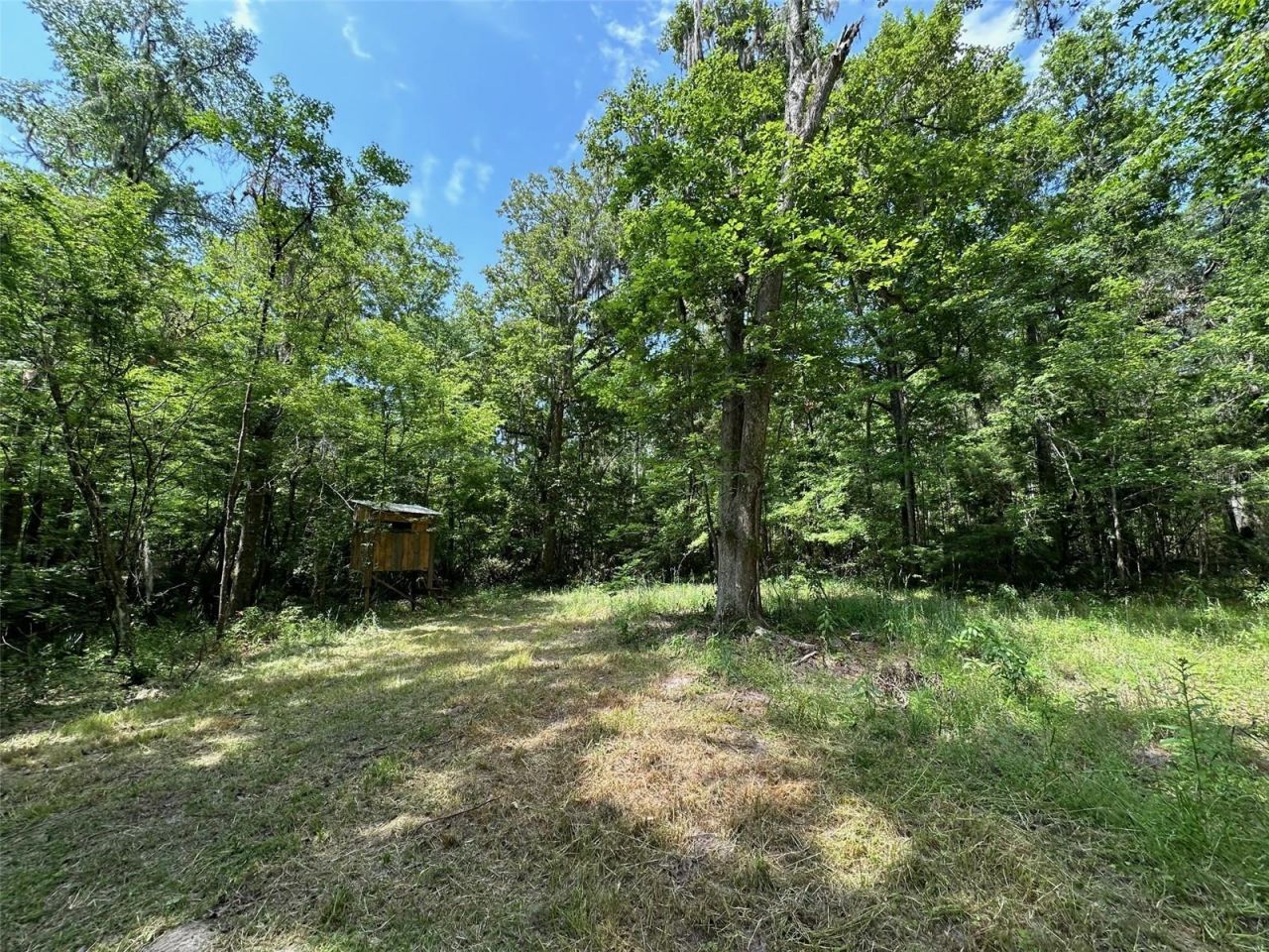 12100 NW Us Highway 441, Alachua, FL 32615 Photo