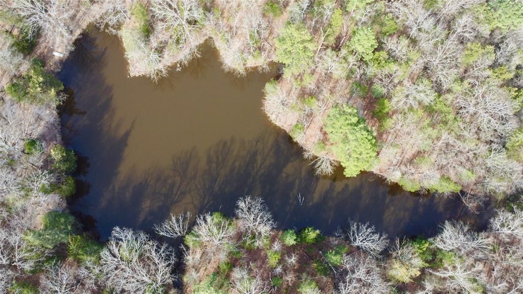 Tbd Mt. Moriah, Omaha, TX 75571 Main Photo