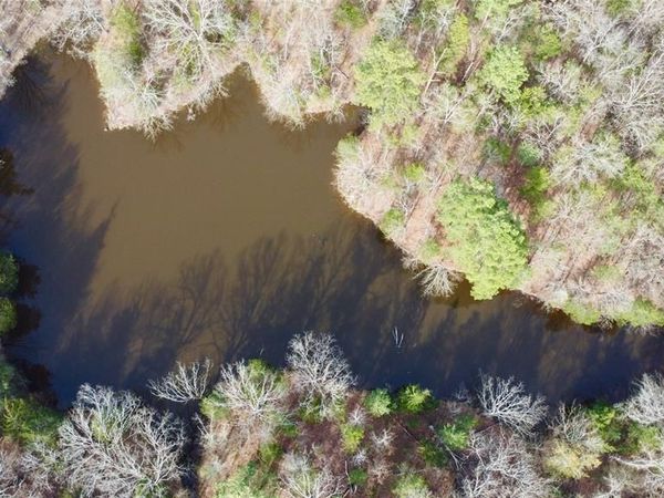 TBD Mt. Moriah, Omaha, TX 75571