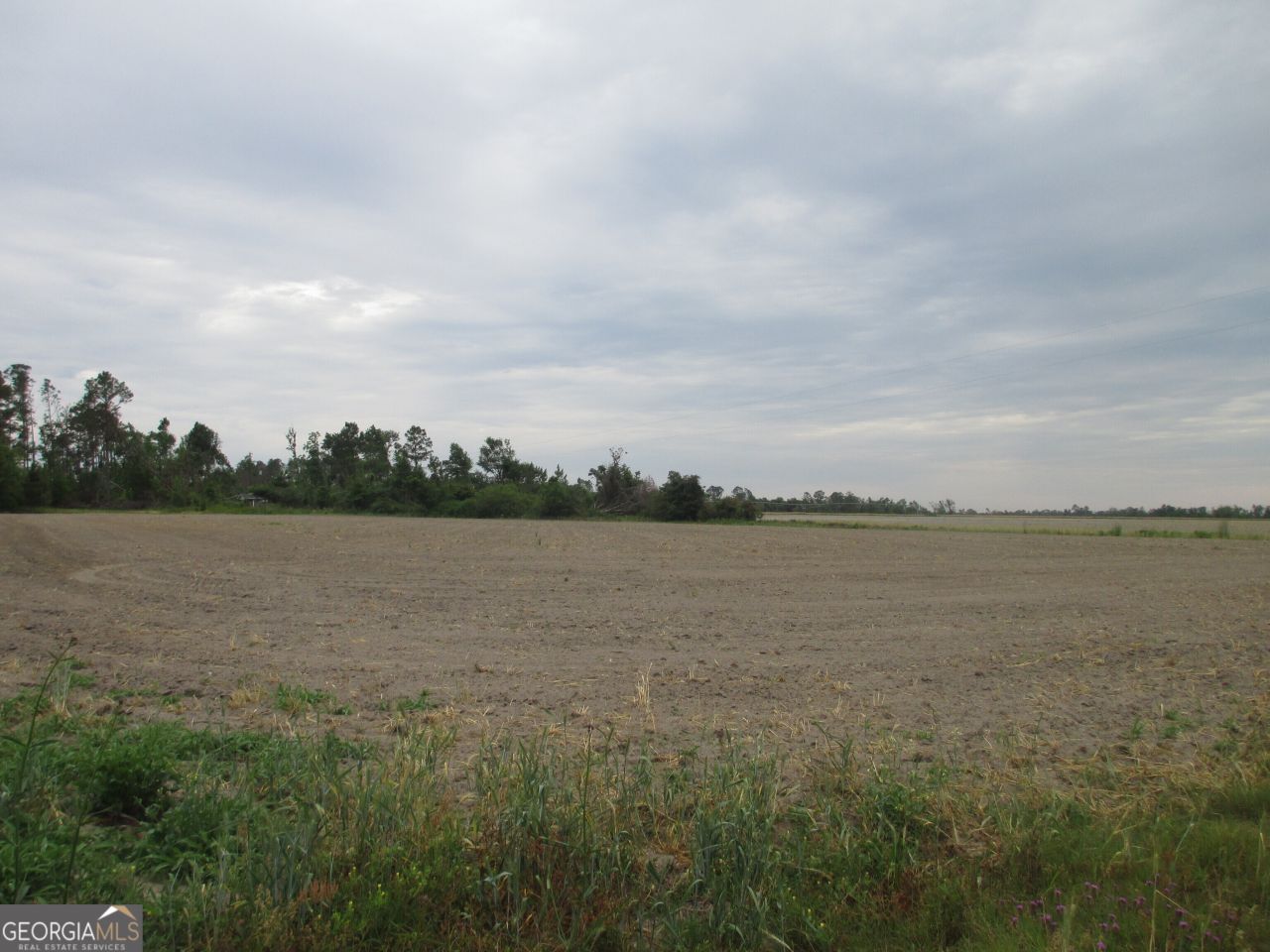 08600022t1 Redbird Road, Lumber City, GA 31549 Main Photo