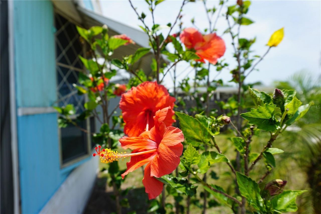 15371 Mango Drive, Punta Gorda, FL 33955 Photo