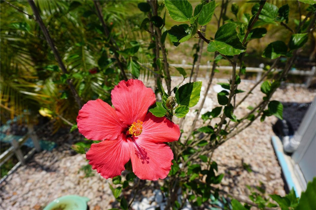 15371 Mango Drive, Punta Gorda, FL 33955 Photo