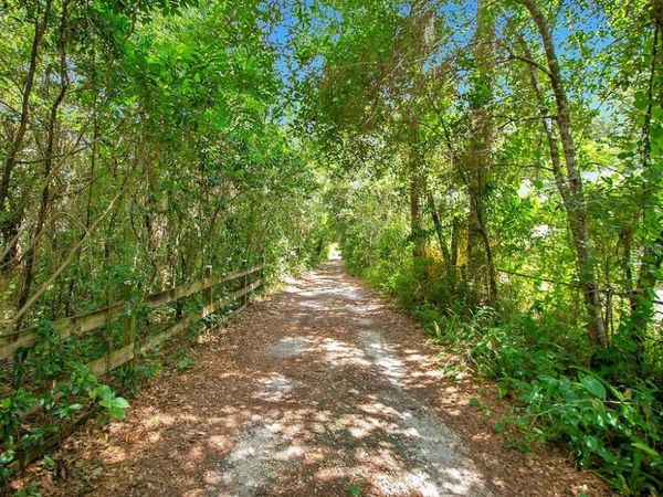 8816 TREVARTHON ROAD, ORLANDO, FL 32817