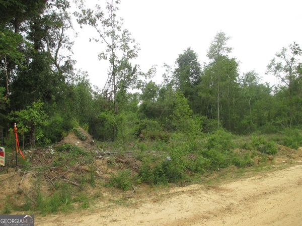 08600008T6 Hayride Road, Lumber City, GA 31549