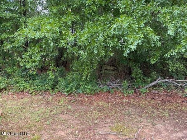 000 W Norwood/Old Enoch Road, Florence, MS 39073