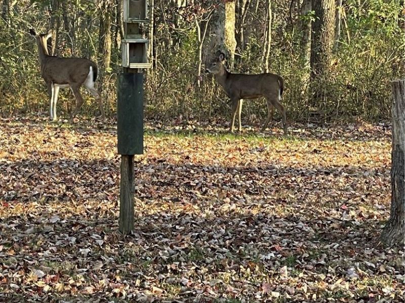 6570 State Route 339, Vincent, OH 45784 Photo 36