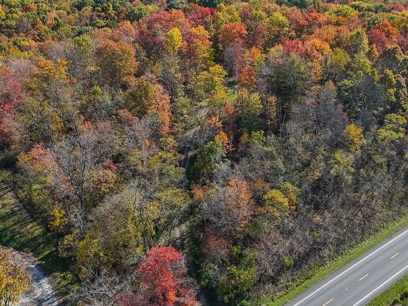 6570 State Route 339, Vincent, OH 45784 Photo 39