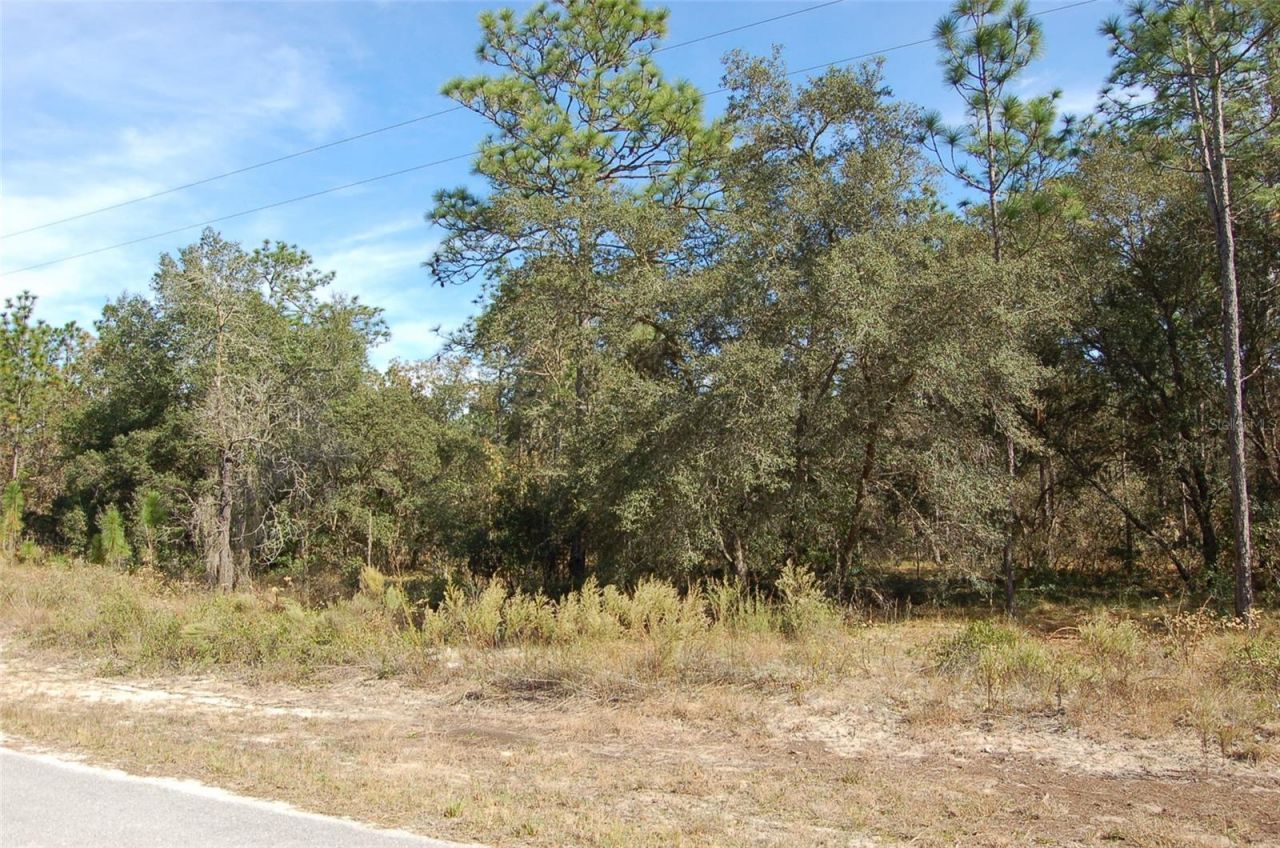 Lombardy Lane, Dunnellon, FL 34431 Photo