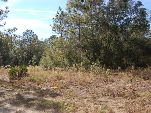 TDB SW 29 PLACE, OCALA, FL 34481