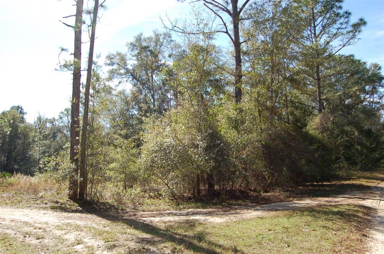 Tdb SW 29 Place, Ocala, FL 34481 Photo