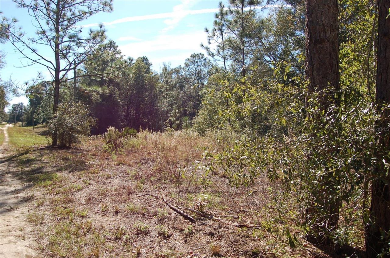 Tdb SW 29 Place, Ocala, FL 34481 Photo