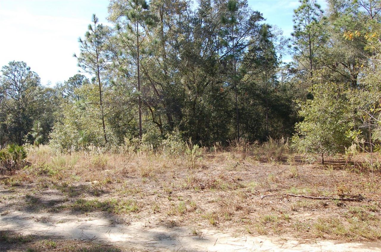 Tdb SW 29 Place, Ocala, FL 34481 Photo