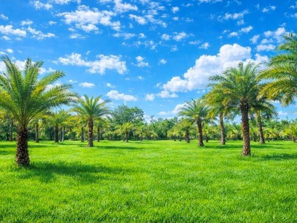 2625 GLENCOE FARMS ROAD, NEW SMYRNA BEACH, FL 32168